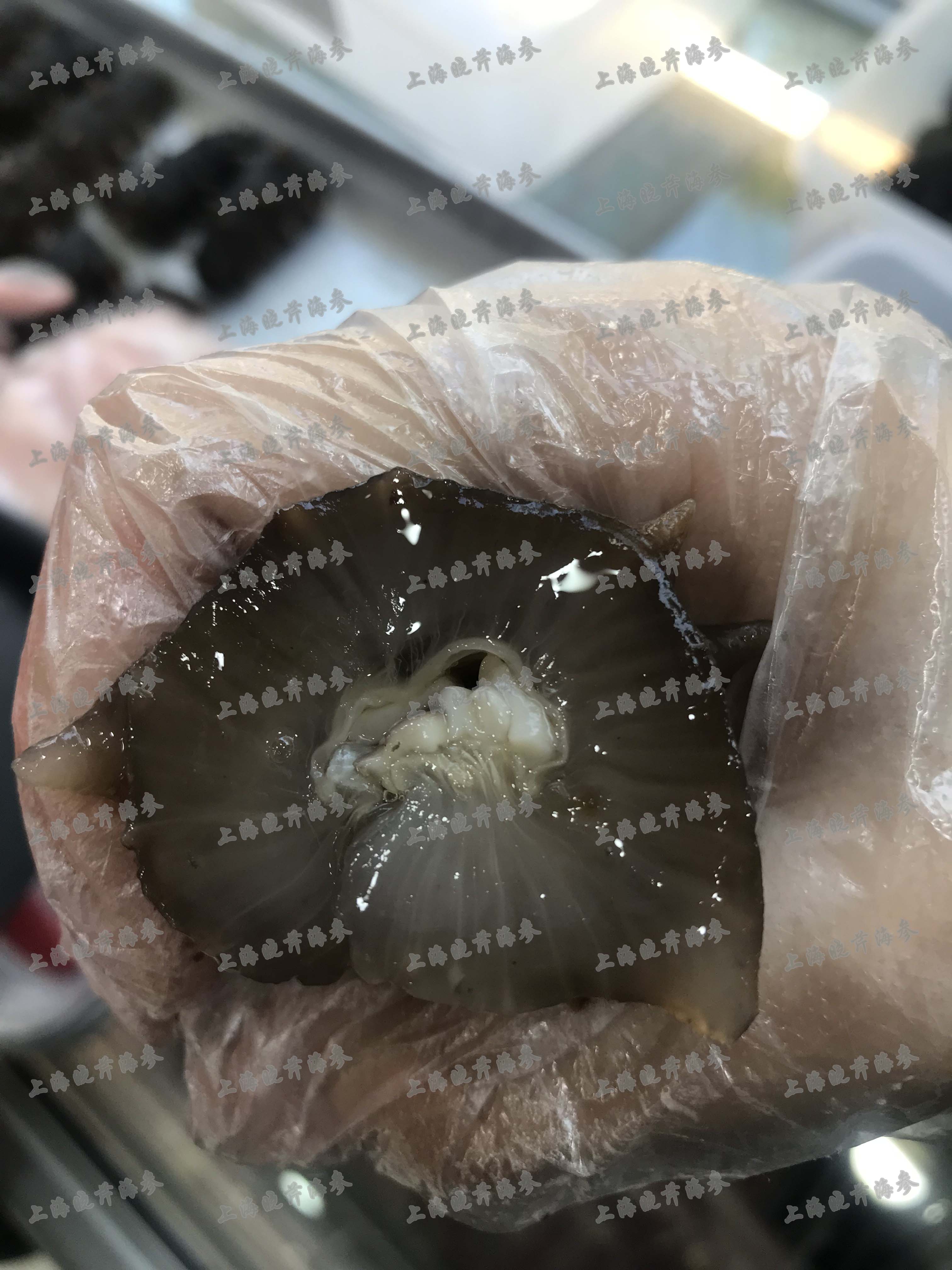 六招教您识海参