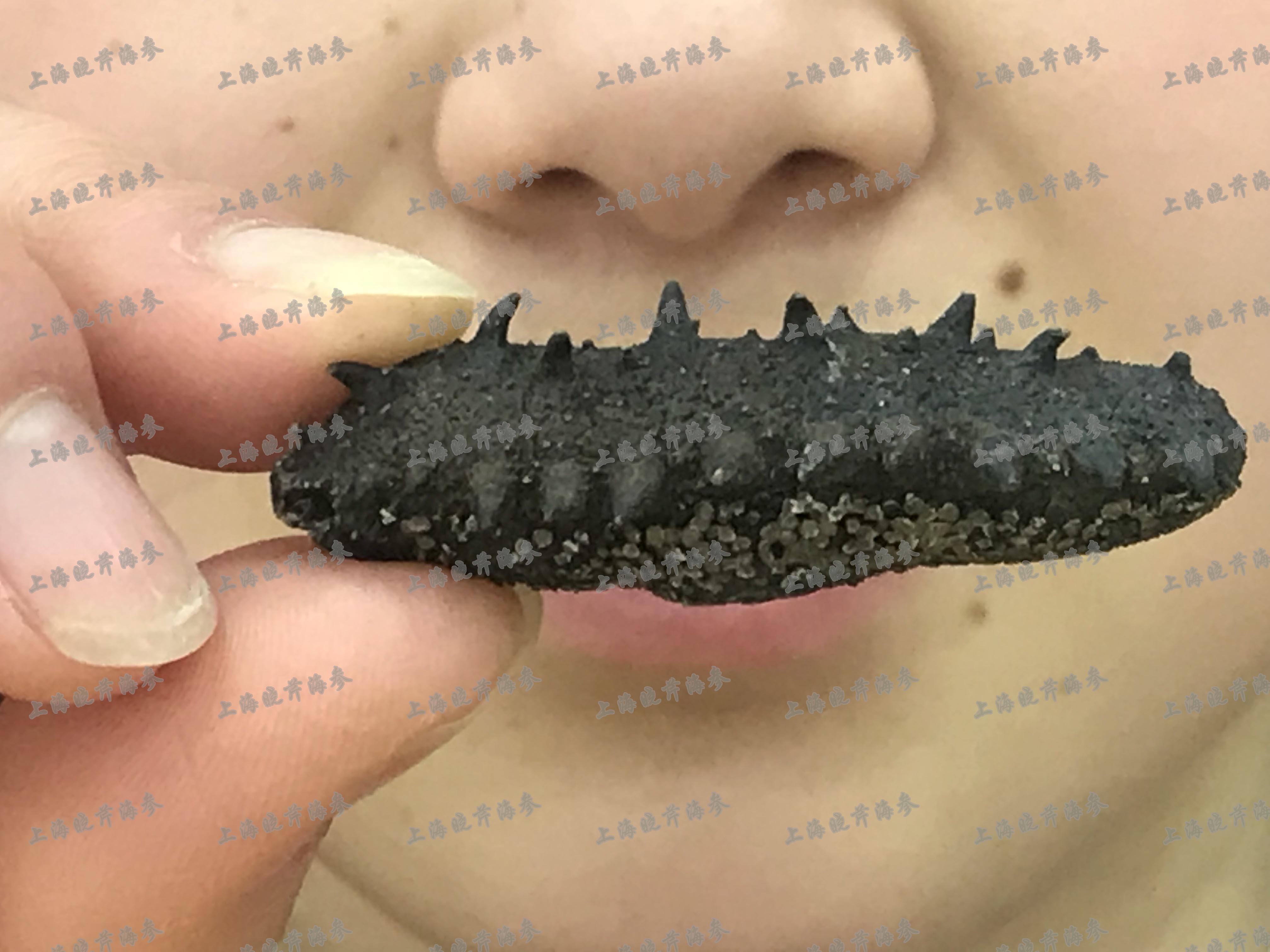 六招教您识海参